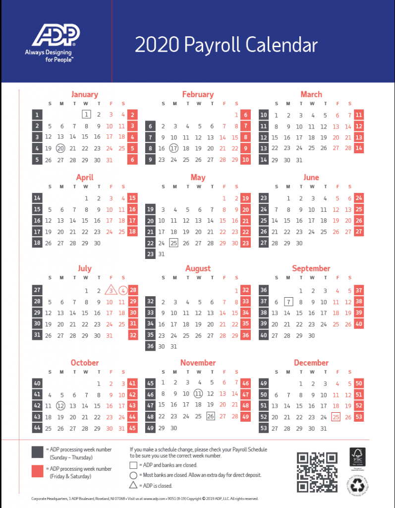 Navigating The 2025 Payroll Landscape A Comprehensive Guide To Bi 