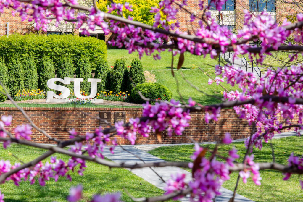 Navigating The Academic Landscape A Comprehensive Guide To Hofstra
