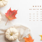 30 November 2022 Calendar Wallpapers WallpaperSafari