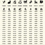 An Overview Of The Chinese Zodiac CLI Blog