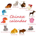 Animals Of Chinese Calendar Janine Tiphanie