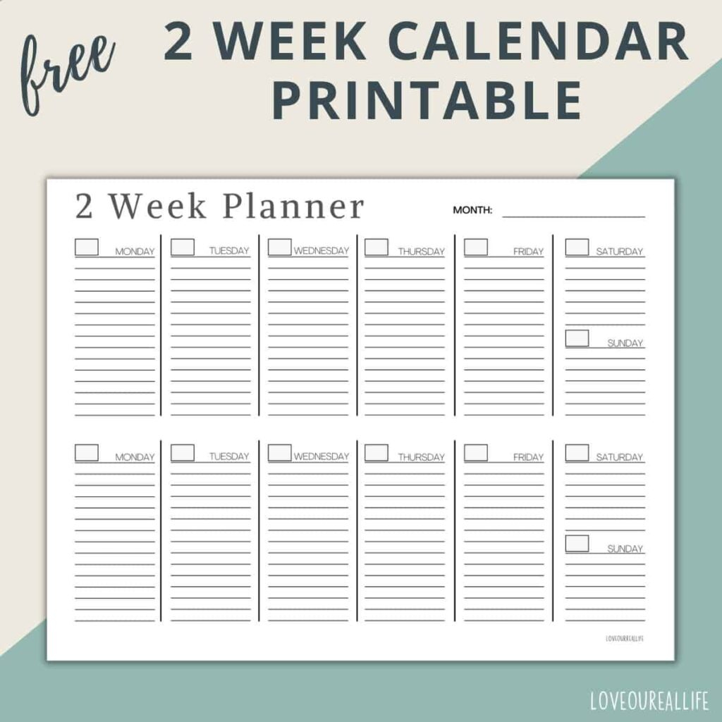 Blank 2 Week Calendar Printable 2025 Calendar Printable