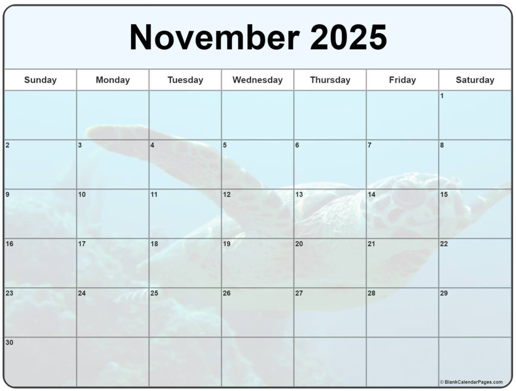 Calendar Nov 22