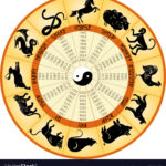 China Animal Calendar Belia Miquela
