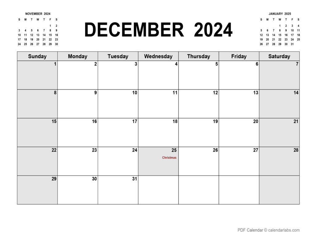 December 2024 Calendar Printable Vertical Calendar Ardyce Leonelle
