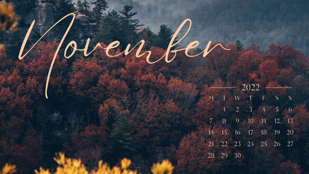 Download Autumn Aesthetic Laptop November Calendar 2022 Wallpaper 