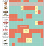 Fishing Calendar For September 2025 Florida Amy R Williams