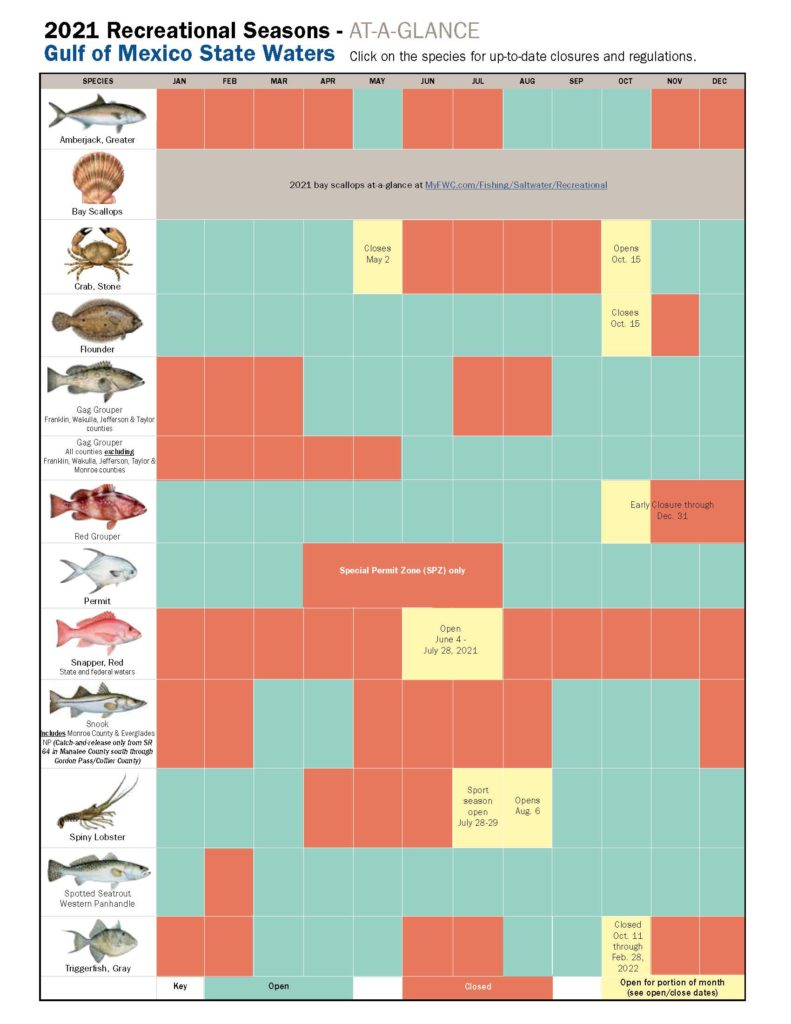 Fishing Calendar For September 2025 Florida Amy R Williams