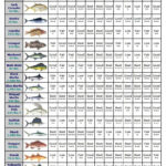 Fishing Calendar October 2024 Sammy Tammara