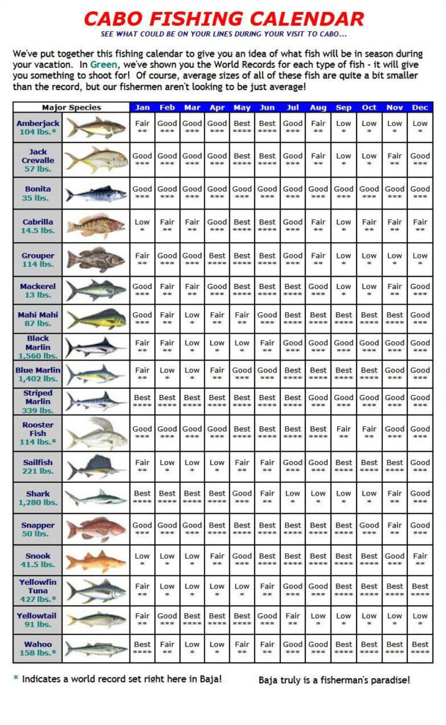 Fishing Calendar October 2024 Sammy Tammara