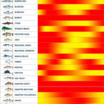 Fishing Calendar September 2025 Galveston Tx Viola Lorilyn