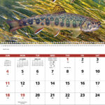 Fishing Calendar September 2025 James B Flanagan