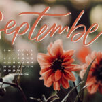 Free Downloadable Tech Backgrounds For September 2020 The Everygirl