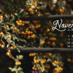Free November Computer Desktop Calendars Wallpaper Backgrounds