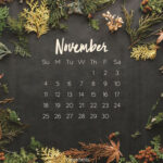 Free November Computer Desktop Calendars Wallpaper Backgrounds