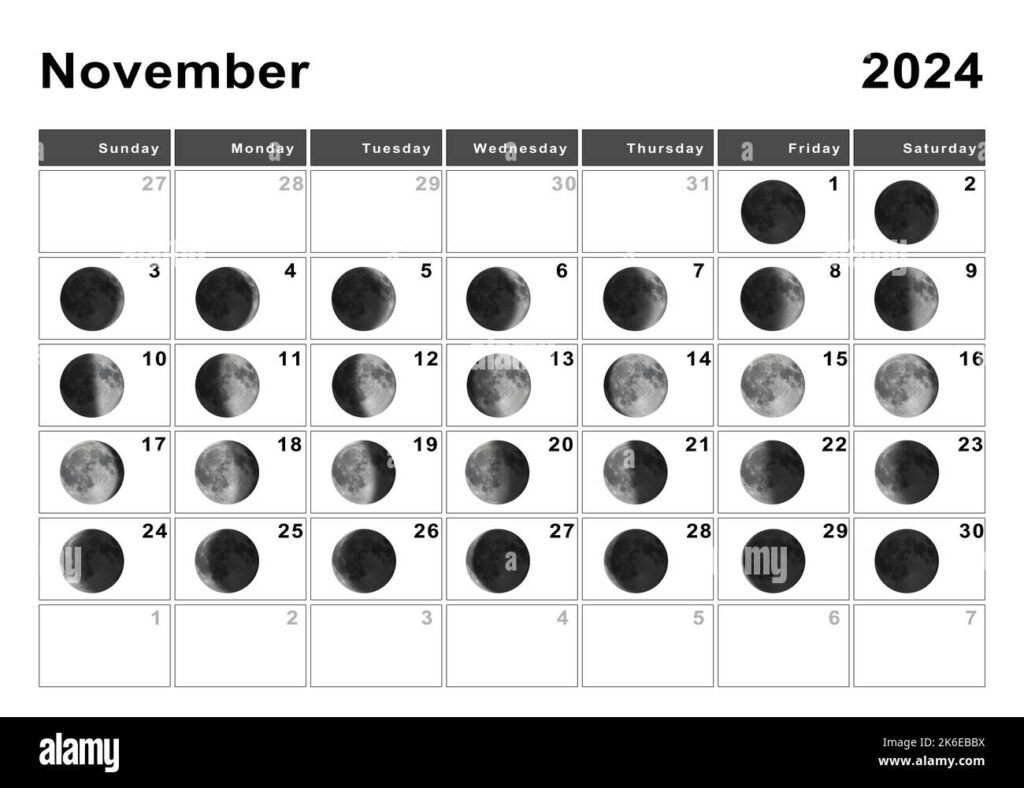Full Moon November 2024 Australia Shay Yelena