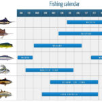 General Fisherman 39 s Calendar Lunar Calendar For August 2021 Year New