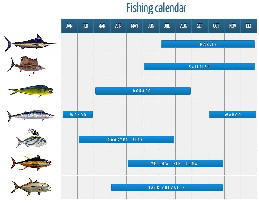 General Fisherman 39 s Calendar Lunar Calendar For August 2021 Year New 