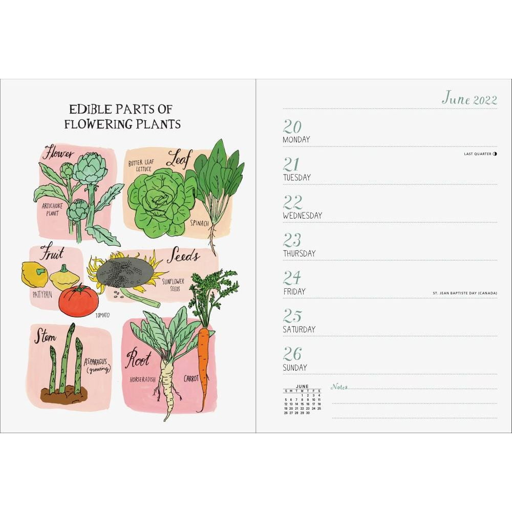 Julia Rothman Engagement Calendar 2024 Calendar 2024 Printable 