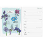 Julia Rothman Engagement Calendar 2024 Calendar 2024 Printable