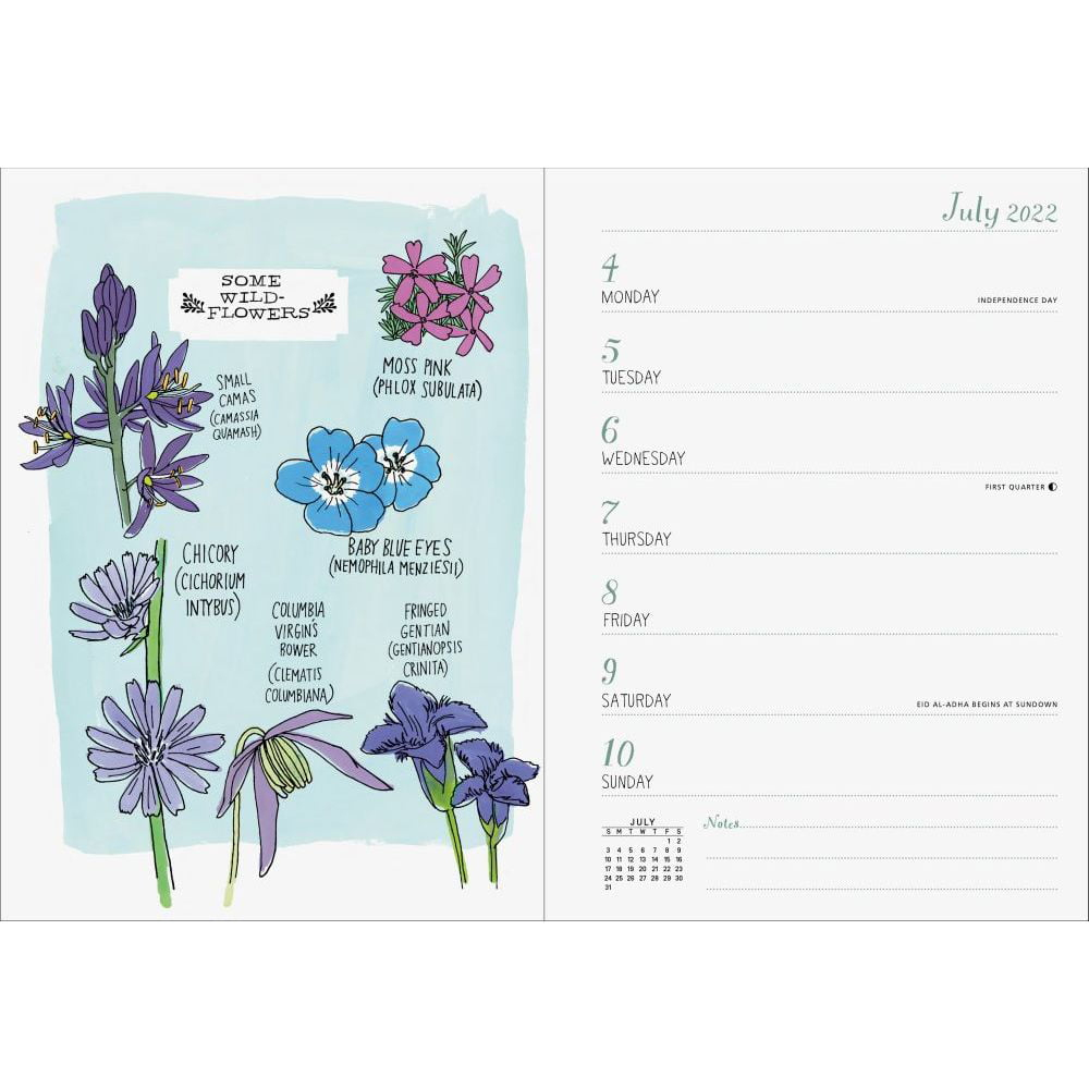 Julia Rothman Engagement Calendar 2024 Calendar 2024 Printable 