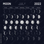 Moon Phase Calendar For July Carry Elinore