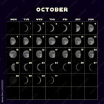 Moon Phases Calendar For 2019 With Realistic Moon October Vector