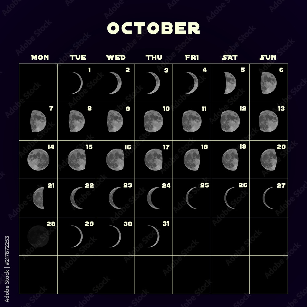 Moon Phases Calendar For 2019 With Realistic Moon October Vector 