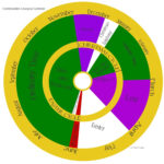 Navigating The Liturgical Year Understanding The Catholic Calendar In