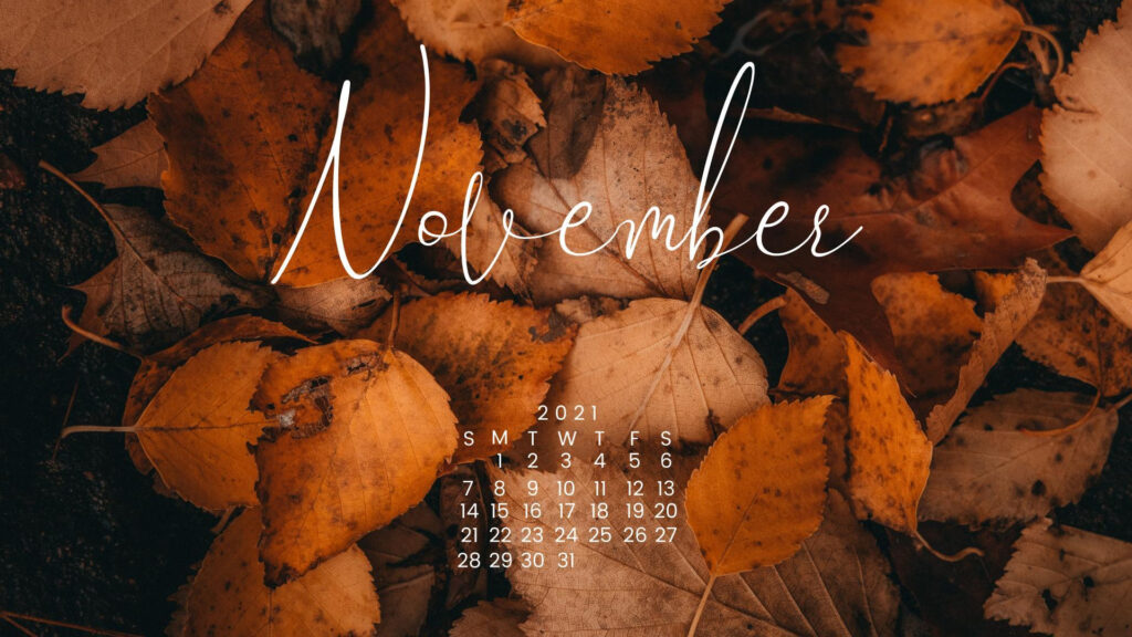 November 2022 Calendar Wallpapers Top Free November 2022 Calendar 