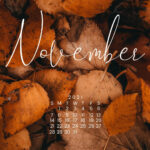 November 2022 Calendar Wallpapers Top Free November 2022 Calendar