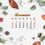 November 2022 Desktop Calendar Wallpaper Printable Word Searches