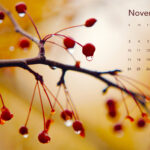 November Calendar Wallpaper Desktop Lark Devinne