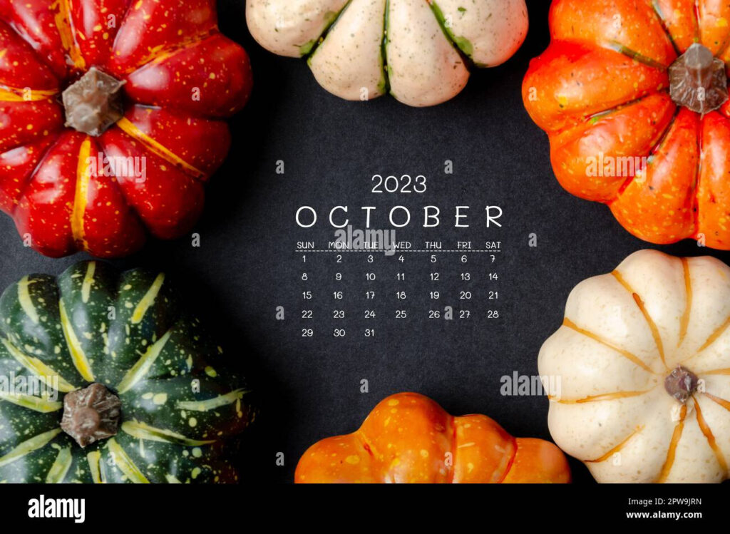 October 2023 Calendar And Pumpkins On Black Cardboard Background Stock 