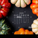 October 2023 Calendar And Pumpkins On Black Cardboard Background Stock