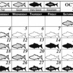 October Fishing Calendar