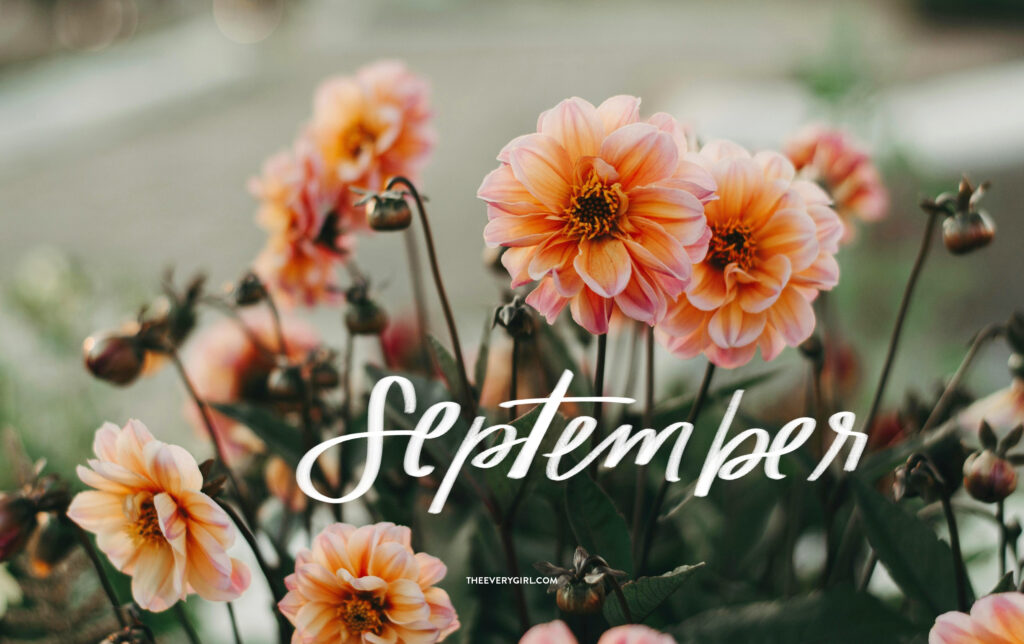 September 2024 Tech Backgrounds Free Downloadable Fall Wallpapers 