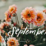 September 2024 Tech Backgrounds Free Downloadable Fall Wallpapers
