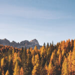 September Calendar Wallpaper 38 Best Desktop Phone Backgrounds