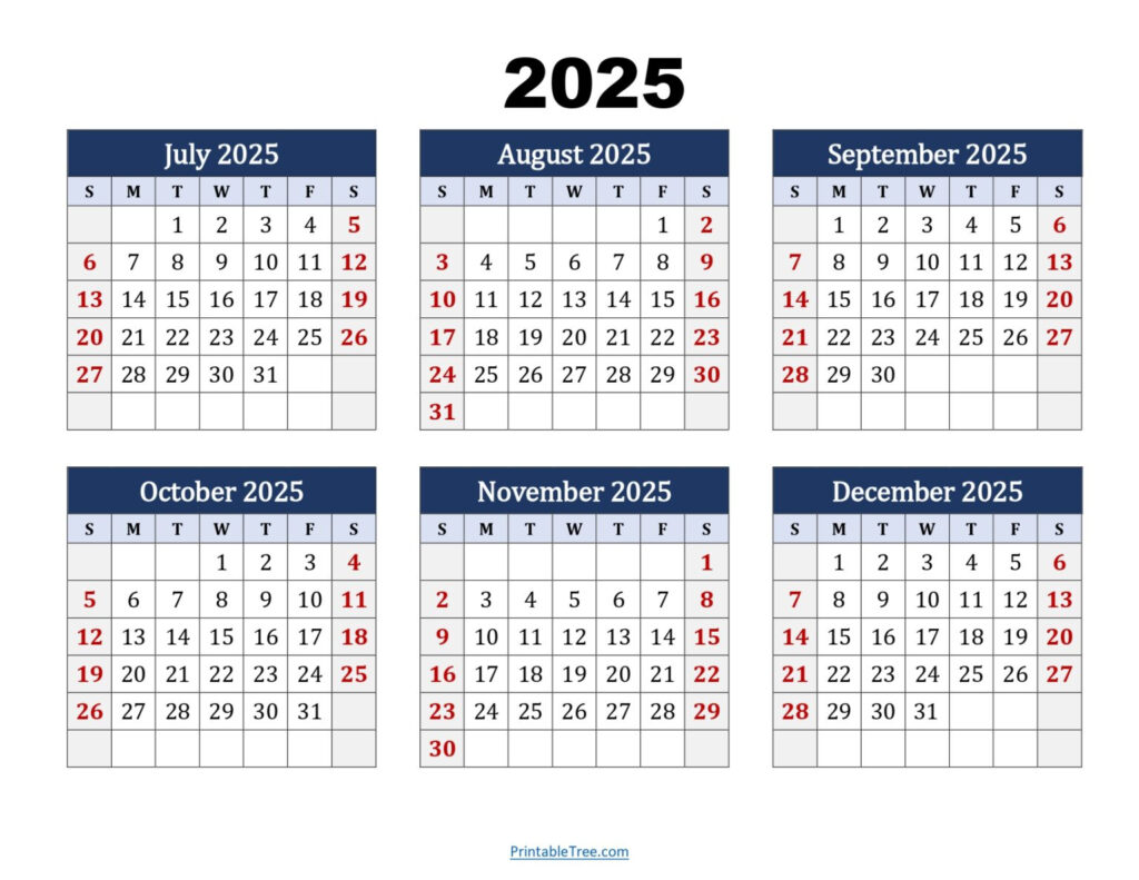 Six Month Calendar 2024 2025 Printable PDF 6 Months Calendar