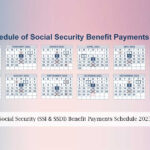 Social Security Payment Schedule 2025 For Ssis Shane T Lewis