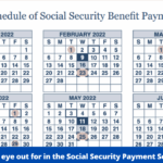 Social Security Payment Schedule 2025 For Ssis Shane T Lewis