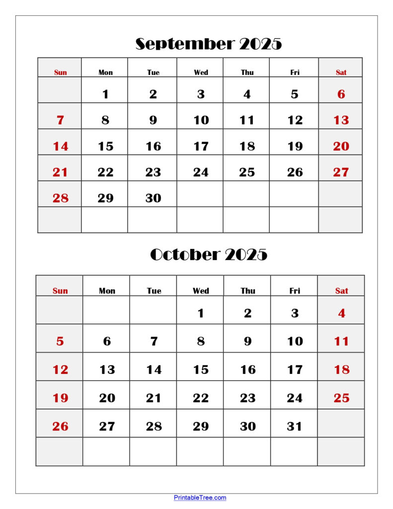 Two Months Calendar 2024 2025 Printable PDF Double Month Calendar